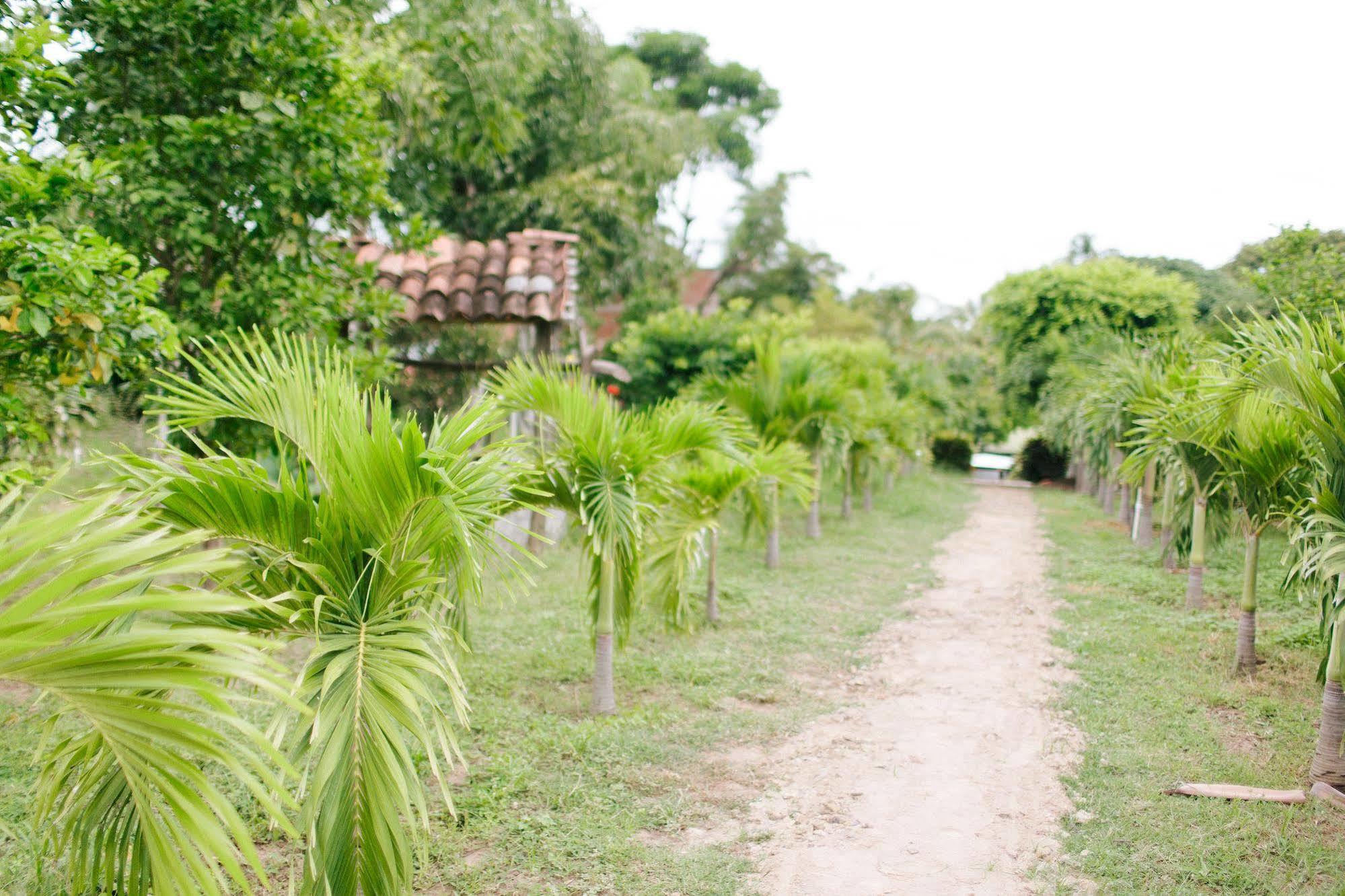 Hotel Hamacas Rivas Luaran gambar